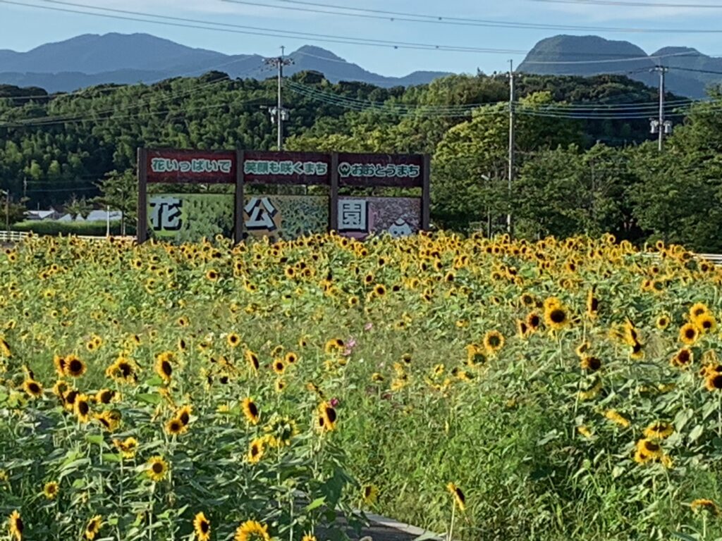 松任町